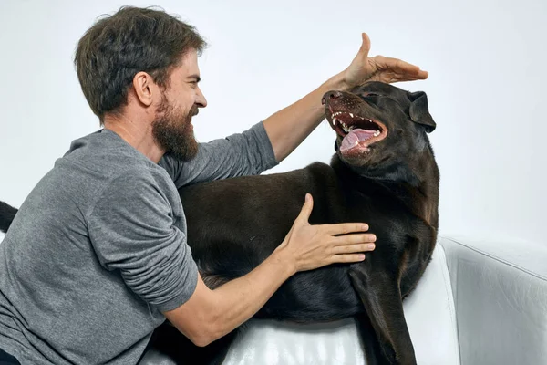 Lycklig man och hund på soffan I ett ljust rum husdjur är en vän till människan — Stockfoto