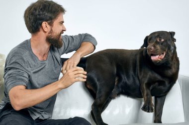 Mutlu adam ve köpek kanepede Aydınlık bir odada evcil hayvan bir insanın dostudur