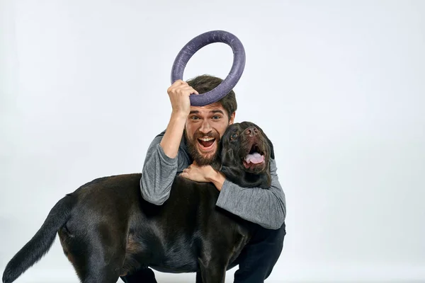 Man with dog training gray ring doing exercises pets light background. — Stock Photo, Image