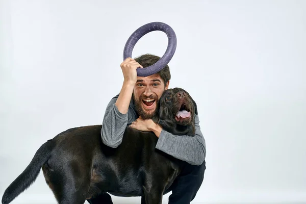 Hombre con perro entrenamiento gris anillo haciendo ejercicios mascotas fondo claro. — Foto de Stock