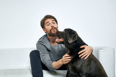 Erkek sahibi kanepede köpekle oynuyor. Eğlenceli ışık odası arkadaşları evcil hayvanı eğitiyor.
