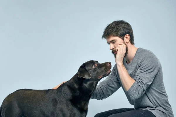 Ο άνθρωπος εκπαιδεύει το σκυλί σε εσωτερικούς χώρους και χειρονομίες με τα χέρια του να εκτελέσει τις εντολές μοντέλα — Φωτογραφία Αρχείου