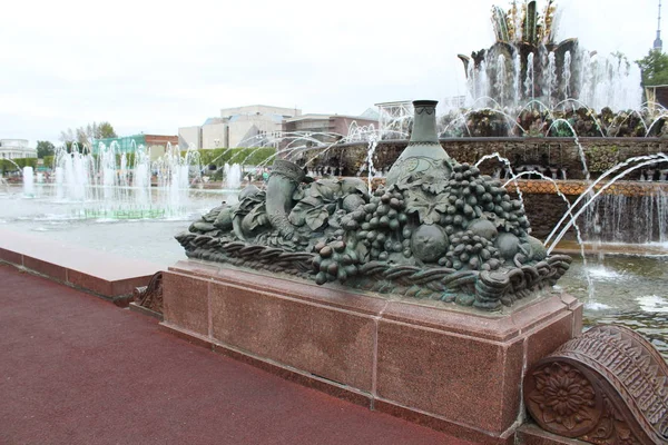 Parkta yaz çeşme. Moskova. VDKNh