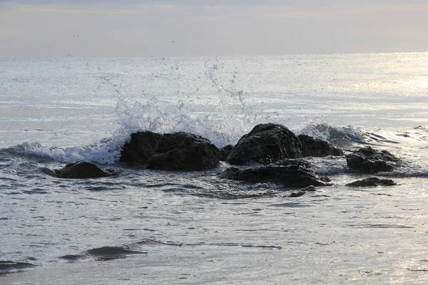 Bir dalga bir taş hakkında sıçrama