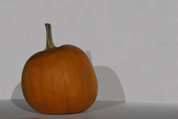 Büyük balkabağı beyaz bir arka plan üzerinde Kapat