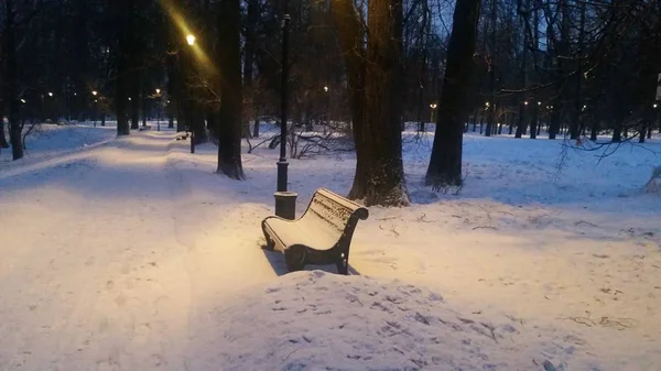 Karla kaplı ağaçlar kış parkta akşam. Tezgah karla kaplı, lambalar yaktı. Fantastik atmosfer. Yatay fotoğraf. Web tasarım, posterler, takvimler için kullanımda.
