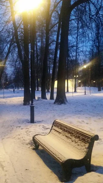 Gece vakti beyaz kabarık kar kış parkta. A tezgah karla kaplı, lambalar yaktı. Kış manzarası. Romantik akşam lambaları ve ağaçları ile. Soğuk hava. Dikey fotoğraf. Kullanılmak üzere bir web tasarım, kartlar, takvimler.