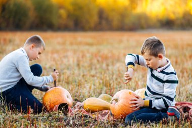 Çocuklar Cadılar Bayramı 'nda Sonbahar Parkı' nda balkabağıyla oynuyorlar. Çocuk balkabağı oyuyor.