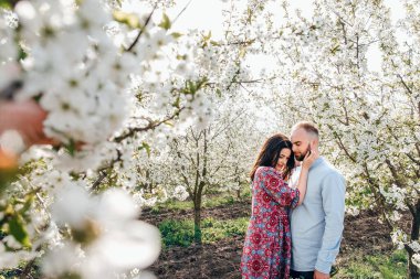 Sevgi dolu çift sarılıyor ve yürüyor. Çiçekli bir elma bahçesinde aşk hikayesi