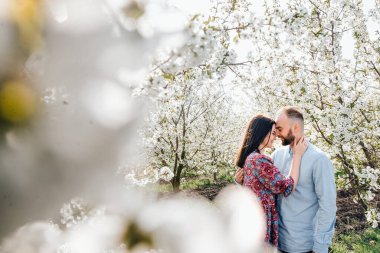 Sevgi dolu çift sarılıyor ve yürüyor. Çiçekli bir elma bahçesinde aşk hikayesi