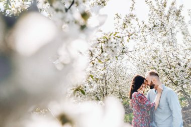 Sevgi dolu çift sarılıyor ve yürüyor. Çiçekli bir elma bahçesinde aşk hikayesi