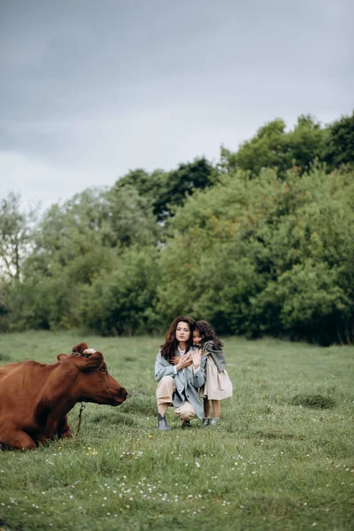 Madre Hija Caminan Campo Con Vacas Familia Está Divirtiendo Juntos — Foto de Stock