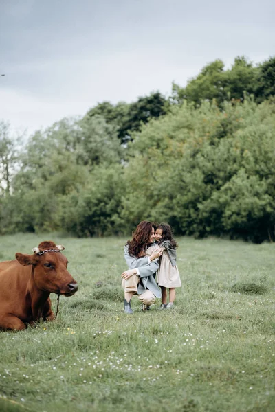 Mãe Filha Caminham Num Campo Com Vacas Família Está Divertindo — Fotografia de Stock