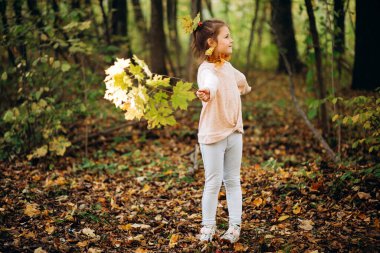 Akçaağaç yapraklı küçük kız güneşli bir ormanda eğleniyor. Ormanda sonbahar hafta sonu