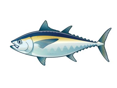 Tuna Blackfin Vector design Illustration clipart