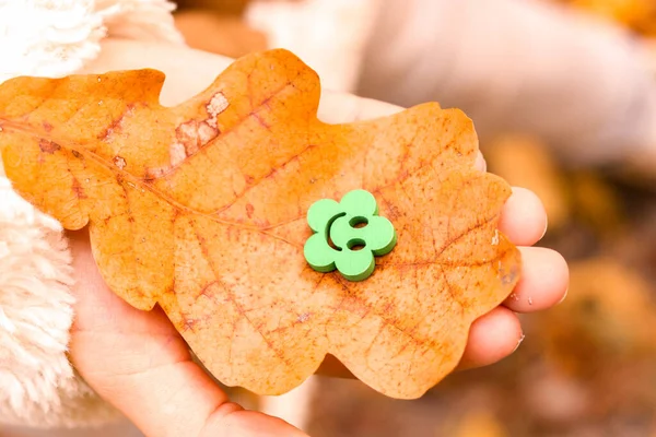 Осіння природна посмішка. Сухий осінній сезон дубовий лист у дитячій долоні з зеленою дерев'яною фігурою у формі квітки зі смайликом обличчя — стокове фото