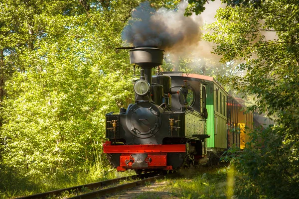 Ancienne locomotive à vapeur — Photo