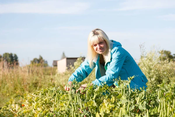 Womwn in vegetable garden — Stock Photo, Image