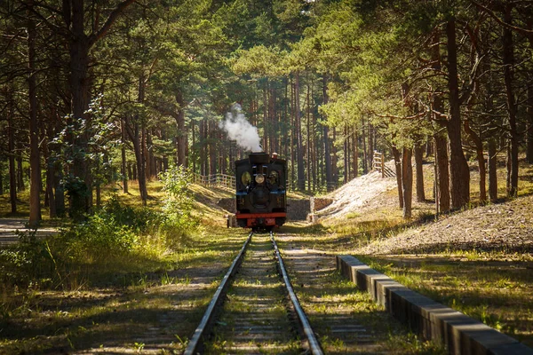 Velha locomotiva a vapor — Fotografia de Stock