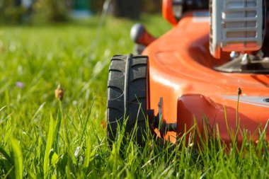 Kırmızı çim biçme makinesi