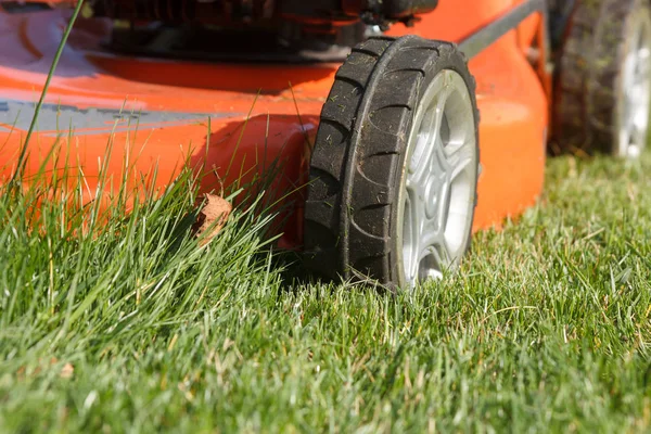 Kırmızı çim biçme makinesi