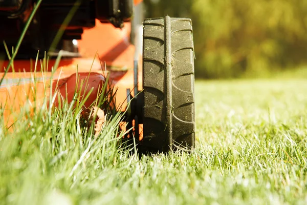 Kırmızı çim biçme makinesi