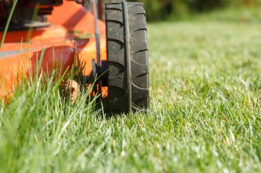 Kırmızı çim biçme makinesi