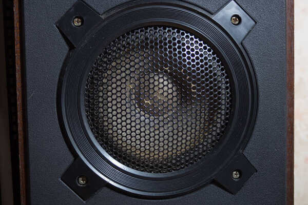 Bass loudspeaker in a retro acoustic system