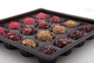 çeşitli renk yer mantarı