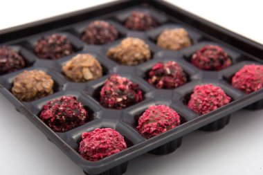 çeşitli renk yer mantarı