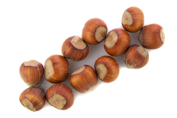 Hazelnuts on white background — Stock Photo, Image