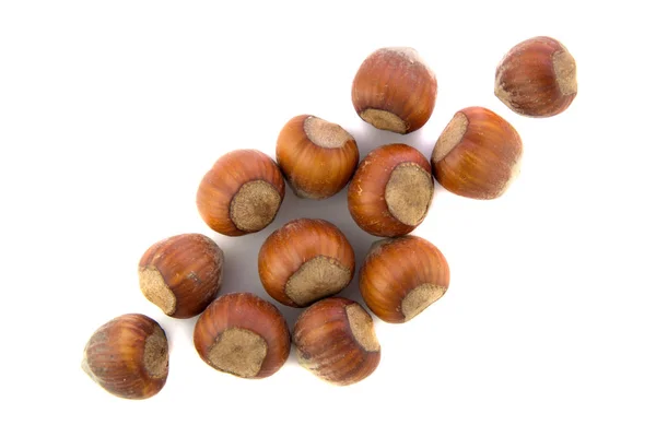 Hazelnuts on white background — Stock Photo, Image