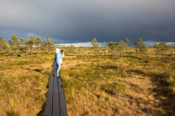 Efter åskväder i träsket — Stockfoto