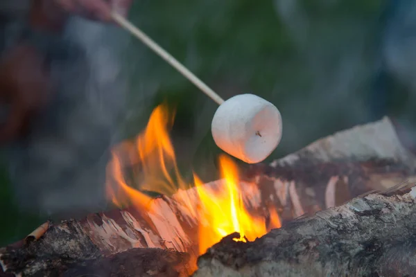 Marshmallow cooking on firewood — Stock Photo, Image