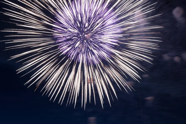 Fuegos artificiales en el cielo negro —  Fotos de Stock