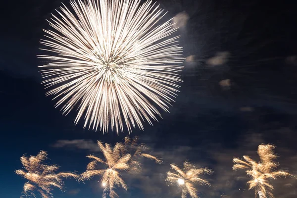 Fuochi d'artificio sul cielo nero — Foto Stock