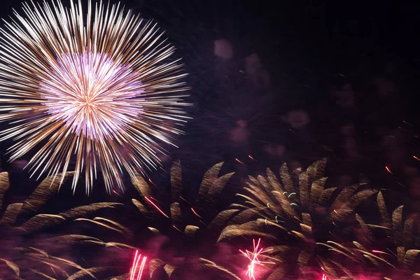 Fuegos artificiales en el cielo negro — Foto de Stock