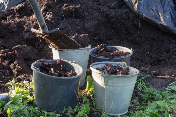 Îngrășământ organic într-o grădină — Fotografie, imagine de stoc