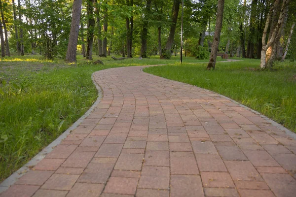 Paved curved pathway — Stock Photo, Image