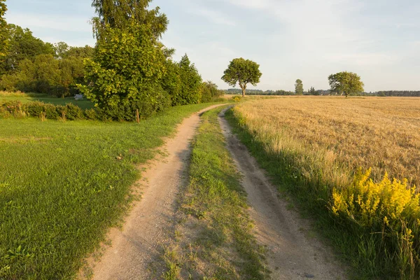 Małej wiejskiej drodze — Zdjęcie stockowe