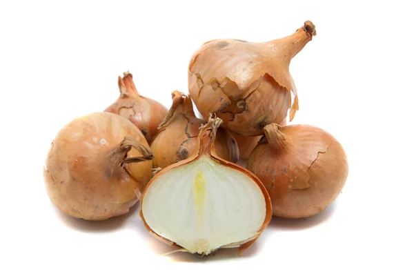 Onions on white background — Stock Photo, Image