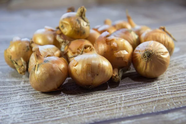 Onions on white background — Stock Photo, Image