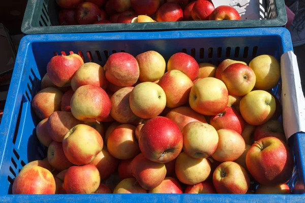 Apples in box — Stock Photo, Image