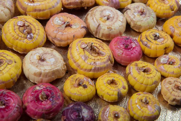 Cebollas sobre fondo blanco —  Fotos de Stock