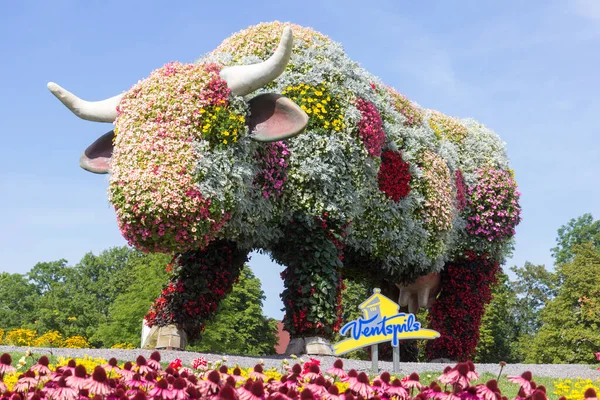 VENTSPILS, LETTONIE - 21 AOÛT 2020 : Vache florale dans le parc de la ville. — Photo