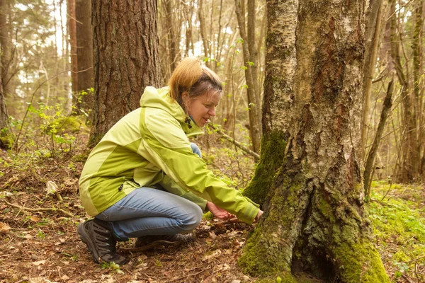 Kobieta geocachingowa. Kobiety w lesie znaleźć pojemnik geocache. — Zdjęcie stockowe