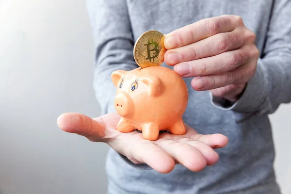 Piggy bank, hand holds golden bitcoin coins virtual money. Cryptocurrency and saving concept