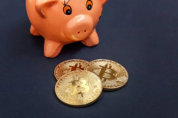 Κουμπαράς Και Bitcoins Χρυσά Νομίσματα Εικονικά Χρήματα Μαύρο Φόντο Εξοικονόμηση — Φωτογραφία Αρχείου