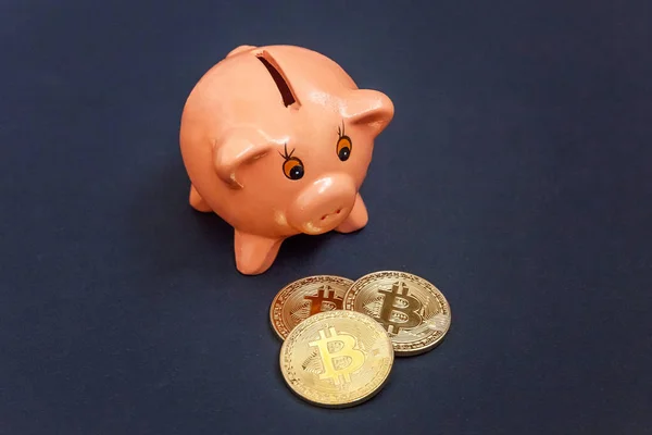Κουμπαράς Και Bitcoins Χρυσά Νομίσματα Εικονικά Χρήματα Μαύρο Φόντο Εξοικονόμηση — Φωτογραφία Αρχείου