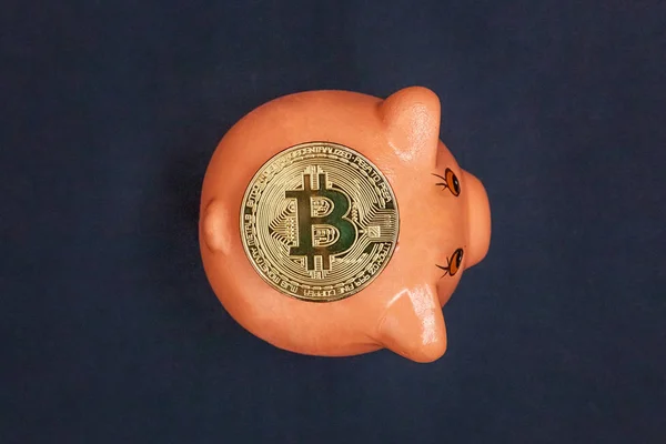 Κουμπαράς Και Χρυσή Bitcoin Κέρμα Εικονικά Χρήματα Μαύρο Φόντο Εξοικονόμηση — Φωτογραφία Αρχείου